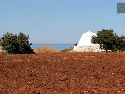 Noi per� proseguiamo sulla complanare per andare ad ammirare pi� da vicino i trulli. Ce ne sono di diversi tipi: bianchi, a punta e restaurati...